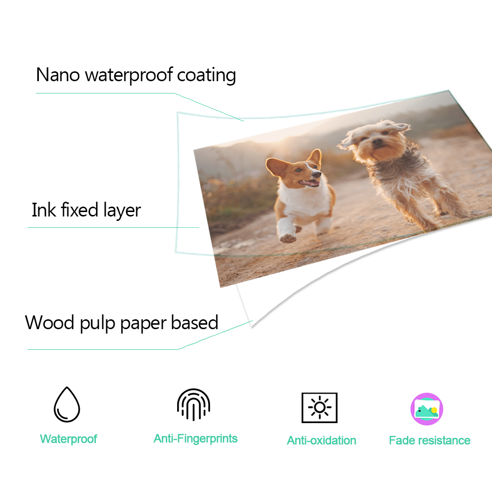 1/2/3/4/5 adet 6 inç mürekkep  - Commercial Photo Printer incelemesi ve fiyatı